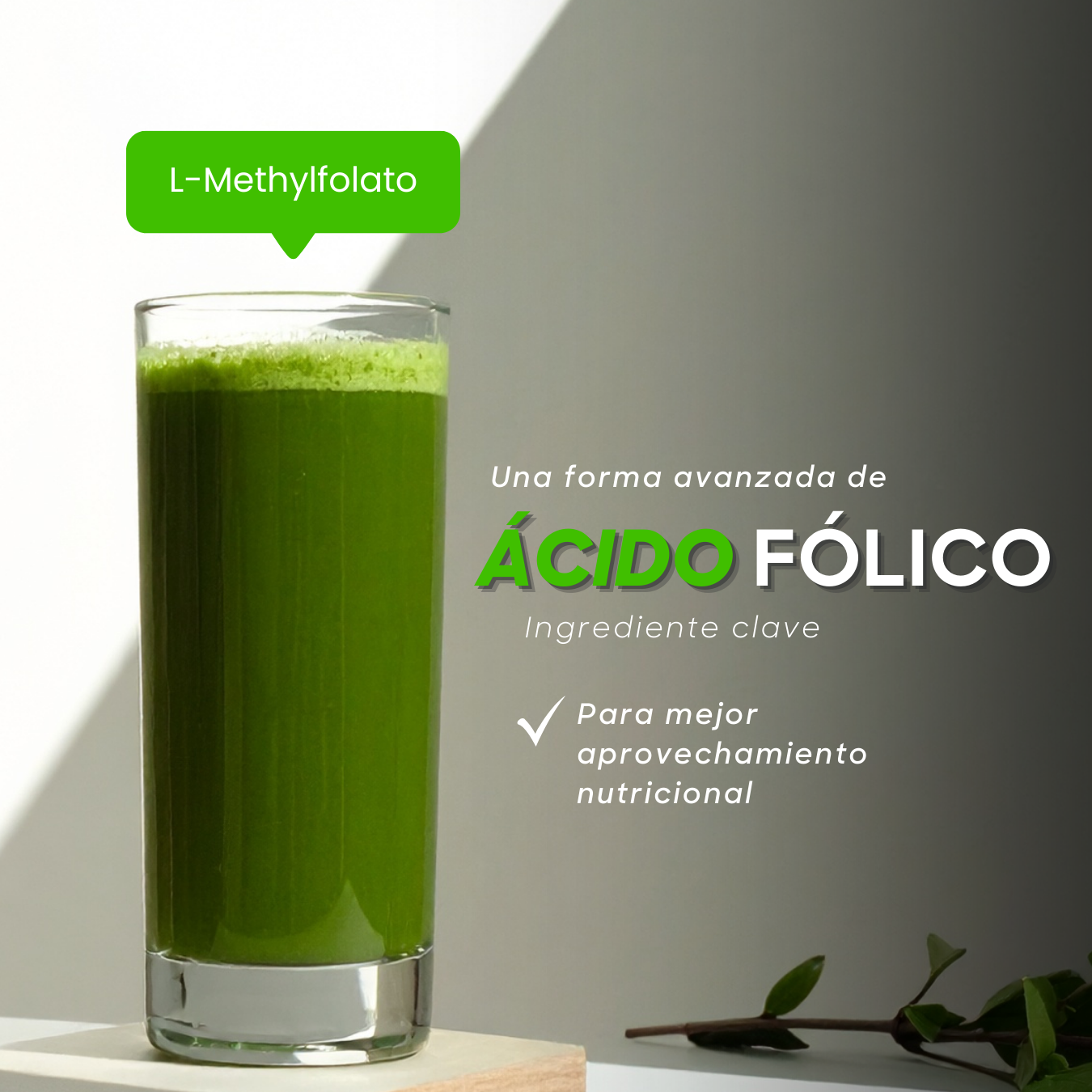 Super Greens + Ligereza | Probióticos BLC1 | 30 Porciones |  Frutos Tropicales